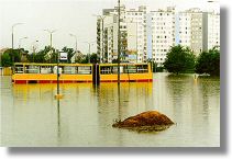 flood_tram.jpg