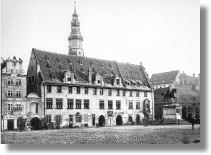 plociennikow.jpg